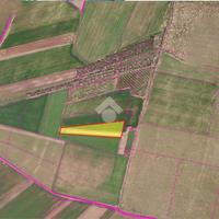 TERRENO A SAN GIOVANNI ROTONDO