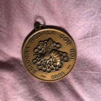 Medaglia cassa di risparmio