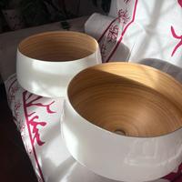 2 lampade a sospensione