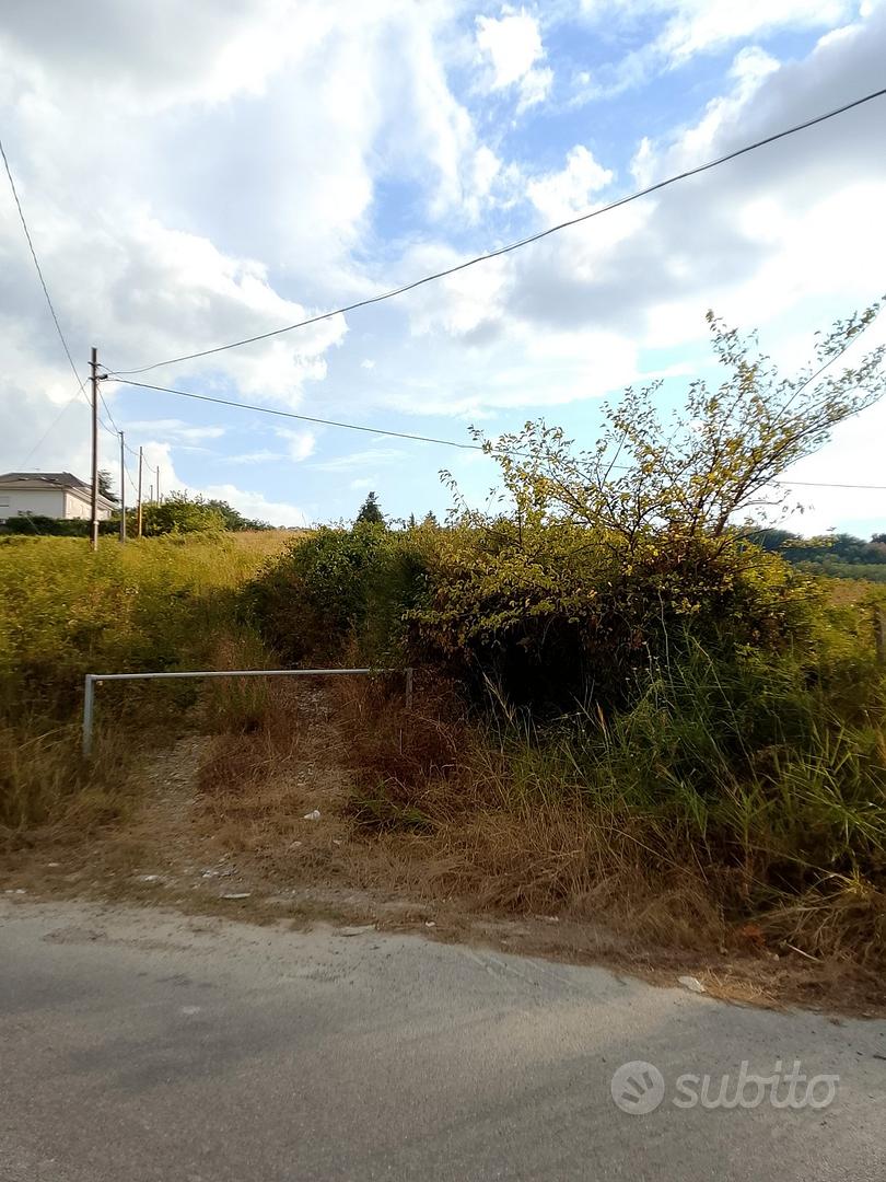 terreno agricolo in saporito - Vista 5