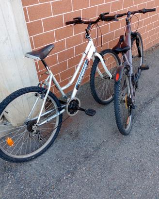 bici Uomo  / Donna 