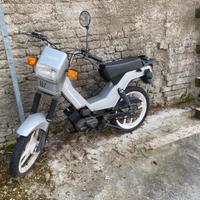 Benelli 50cc