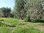 Immagine 13