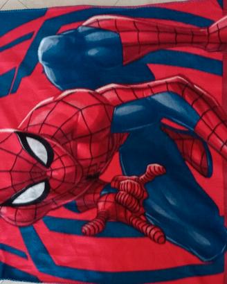 Plaid Spiderman