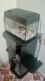 Acquario 25 litri 