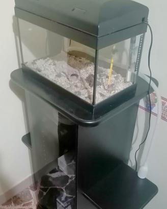 Acquario 25 litri 