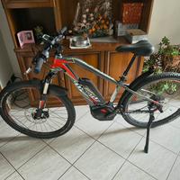 bici elettrica da donna 