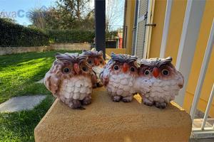 Piano terra con 100 mq di corte e ingresso indipen