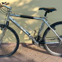 Mountain Bike adulto