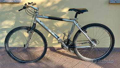 Mountain Bike adulto