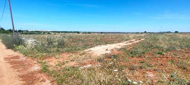 Terreno di circa 6 ettari