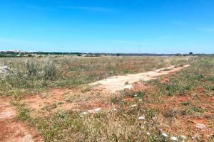 Terreno di circa 6 ettari