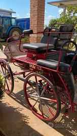 carrozza 