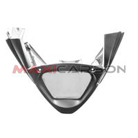Vasca carena carbonio Aprilia Tuono V4 2011-2014