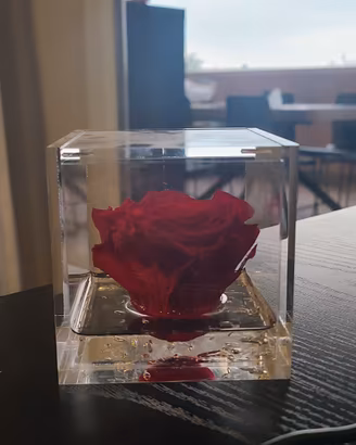 Rosa rossa stabilizzata in cubo