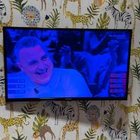 Televisore Telefunken e Sonoko 40 Pollici