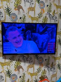 Televisore Telefunken e Sonoko 40 Pollici