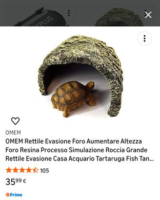 grotta tartaruga 