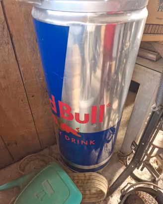 Frigo redbull