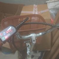 bicicletta elettrica 