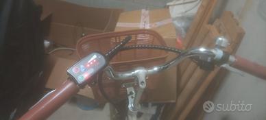 bicicletta elettrica 