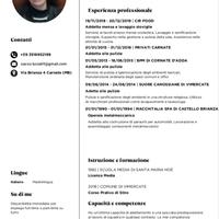 Addetta Pulizie