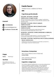 Addetta Pulizie