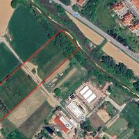 Terreno agricolo con ulivi e annesso agricolo