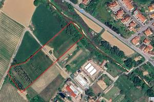 Terreno agricolo con ulivi