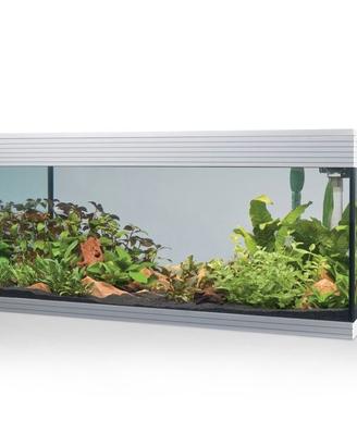 Askoll Acquario Pure XL Bianco