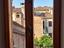 Immagine 9