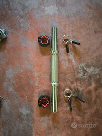 Coppia di manubri più pesi