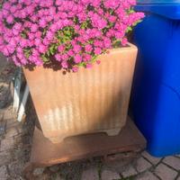 Vaso grande in cemento