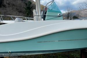 Barca selva Yamaha Eolo girasole 5,50