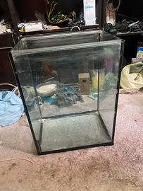 Acquario