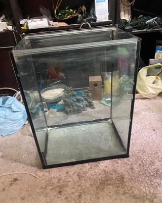 Acquario