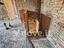 Immagine 23