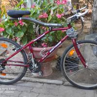 2 Biciclette americane marca SOFTRIDE