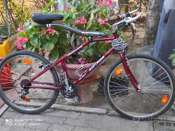 2 Biciclette americane marca SOFTRIDE