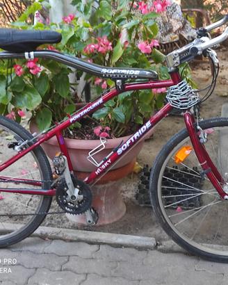 2 Biciclette americane marca SOFTRIDE