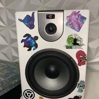 Monitor da studio e subwoofer