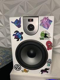 Monitor da studio e subwoofer