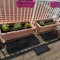 Vasi - vaso da giardino