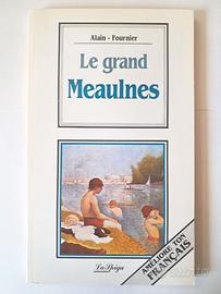"Le Grand Meaulnes" Fournier Libro Studio Francese