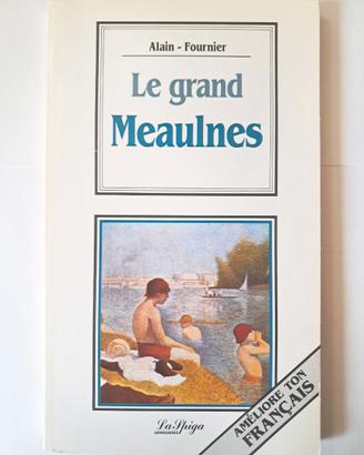 "Le Grand Meaulnes" Fournier Libro Studio Francese