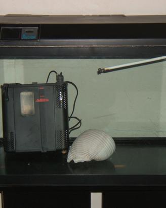 Aquario