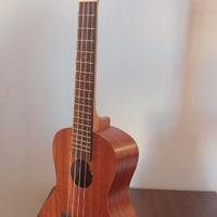 Ukulele come nuovo + custodia - 50€