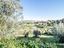 Immagine 13