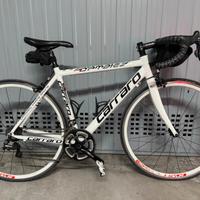 Bici fa corsa Carraro Dambiez 915