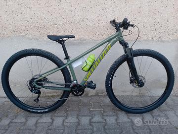 mtb specialazer